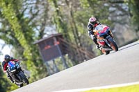 Oulton-Park-20th-March-2020;PJ-Motorsport-Photography-2020;anglesey;brands-hatch;cadwell-park;croft;donington-park;enduro-digital-images;event-digital-images;eventdigitalimages;mallory;no-limits;oulton-park;peter-wileman-photography;racing-digital-images;silverstone;snetterton;trackday-digital-images;trackday-photos;vmcc-banbury-run;welsh-2-day-enduro